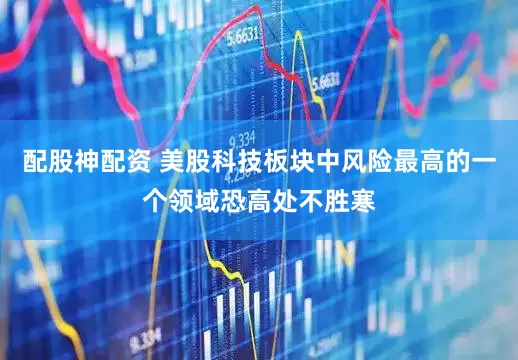 配股神配资 美股科技板块中风险最高的一个领域恐高处不胜寒